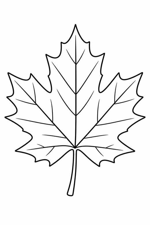 Maple leaf: A single large maple leaf with clear veins, free printable coloring page